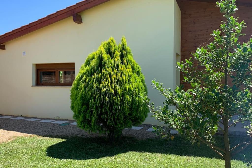 Quinta Pedro E Ines Villa Bragança Eksteriør billede