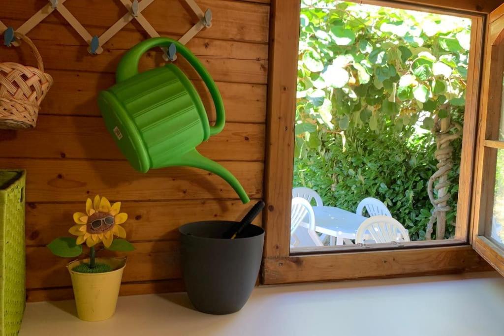 Quinta Pedro E Ines Villa Bragança Eksteriør billede
