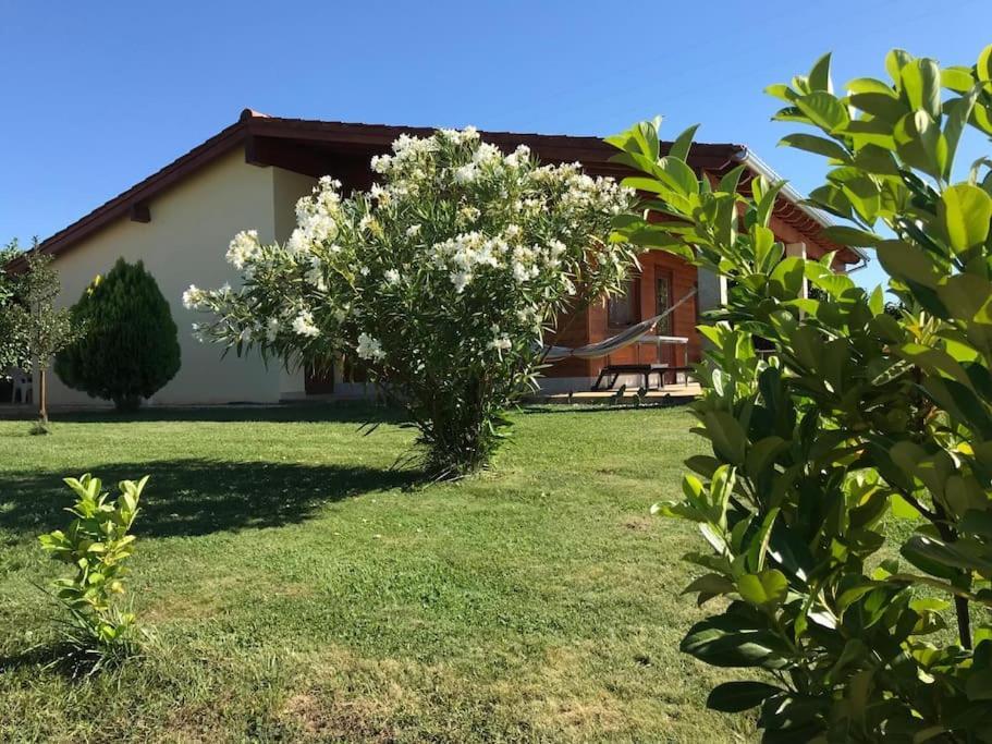 Quinta Pedro E Ines Villa Bragança Eksteriør billede