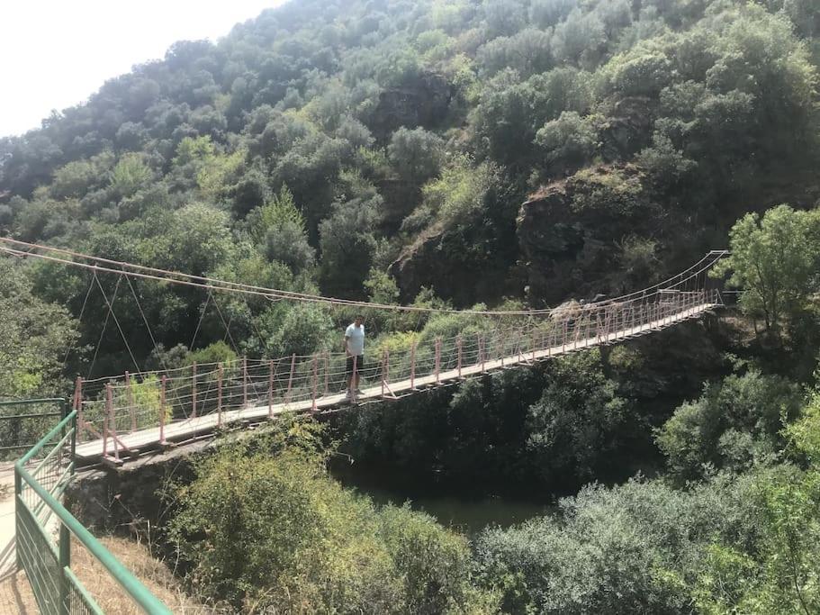 Quinta Pedro E Ines Villa Bragança Eksteriør billede